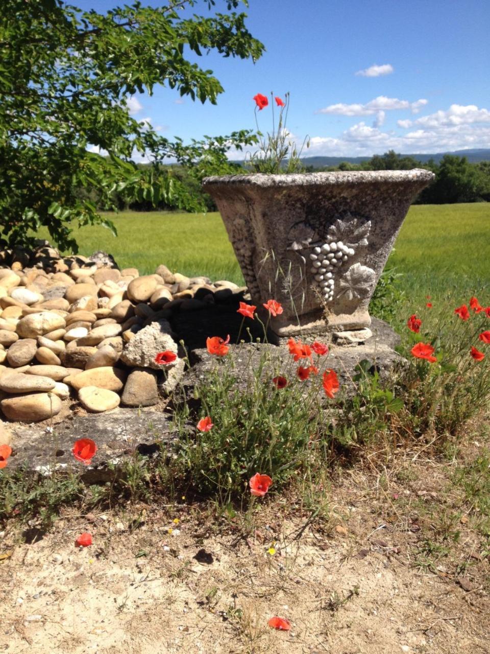 La Salamandre Bleue Villa Chantemerle-les-Grignan Exterior photo